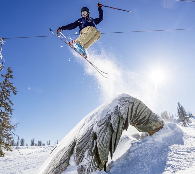 Rails im Absolut Park Shuttleberg © Flachau Tourismus