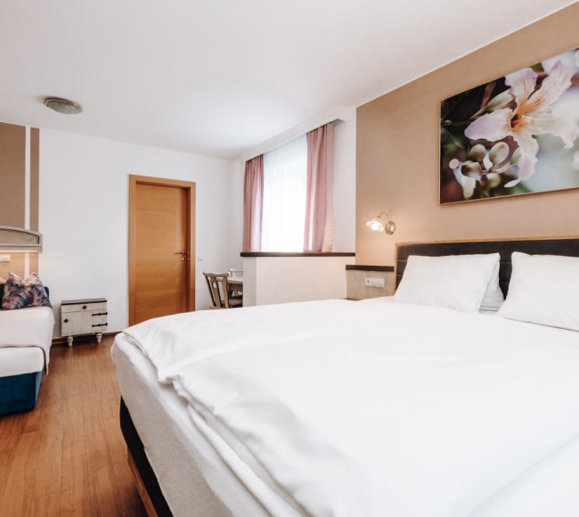 Schlafzimmer mit ausziehbarer Couch im Appartement Typ B